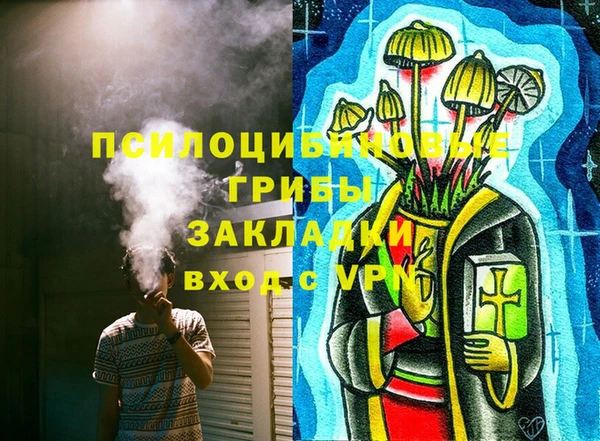 крисы Алексин