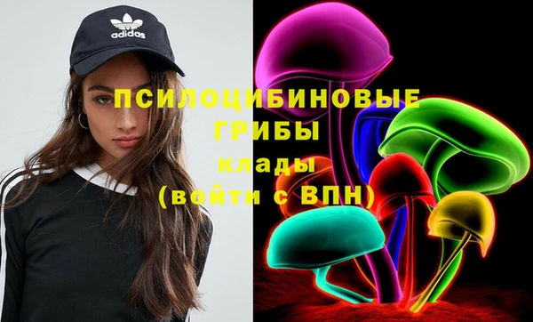 крисы Алексин