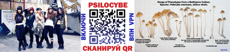 закладки Кемерово Галлюциногенные грибы Magic Shrooms